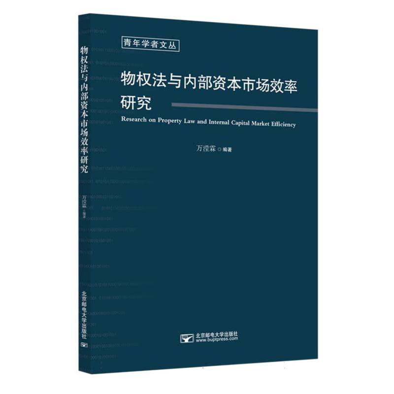 物权法与内部资本市场效率研究