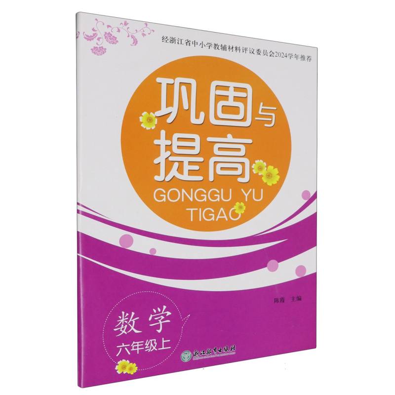 数学（6上）/巩固与提高
