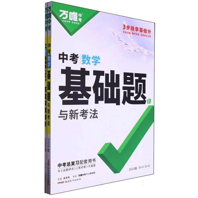 中考数学基础题与新考法（2025版第4年第4版）