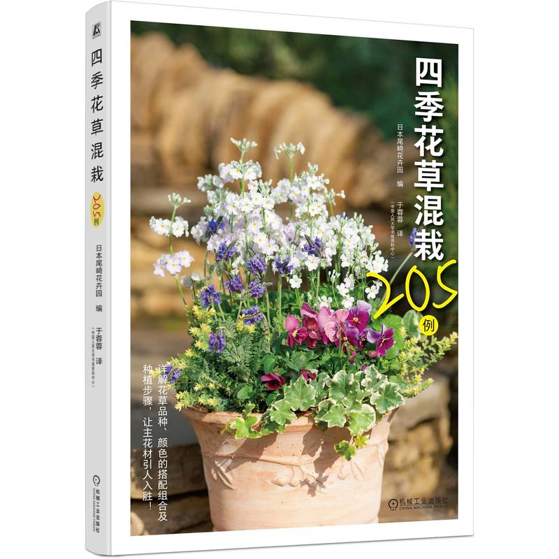 四季花草混栽205例