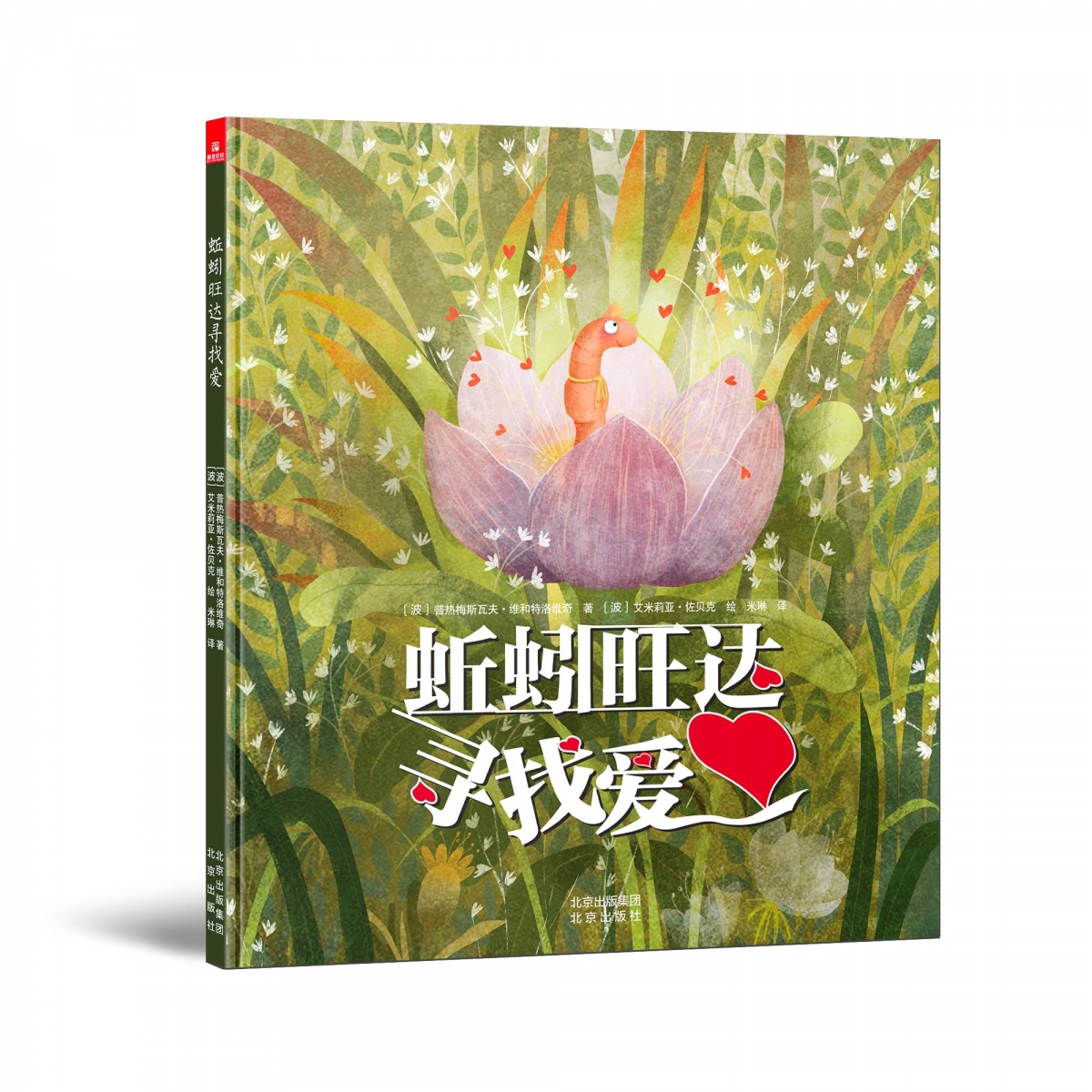 蚯蚓旺达寻找爱