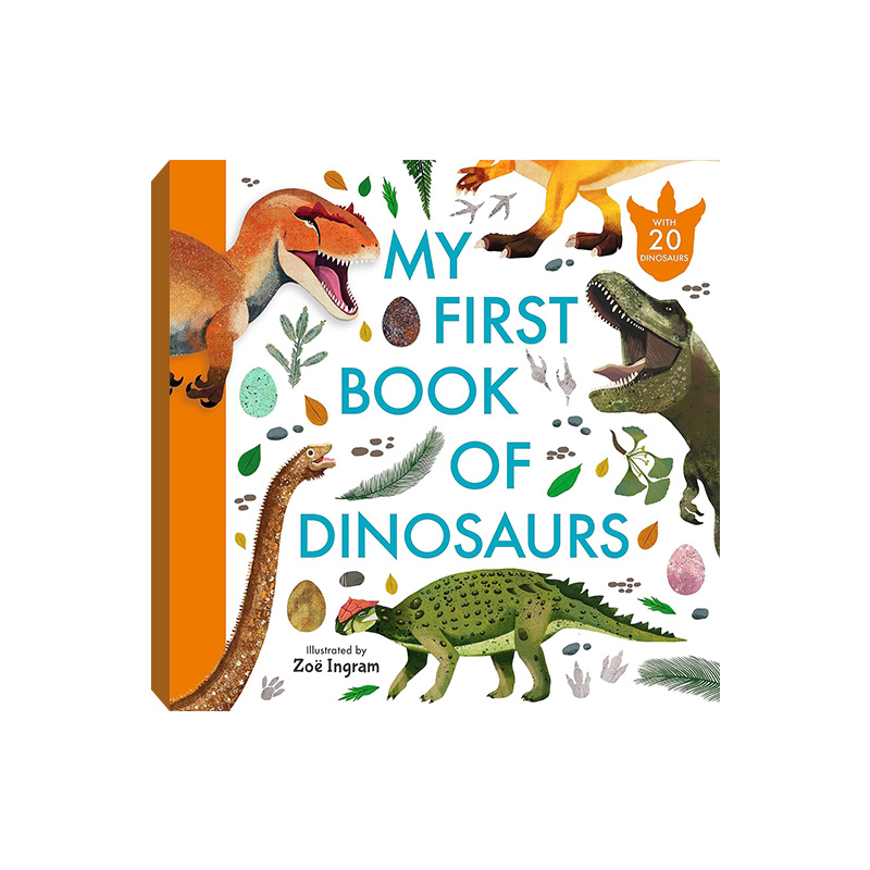 My First Book Of Dinosaurs