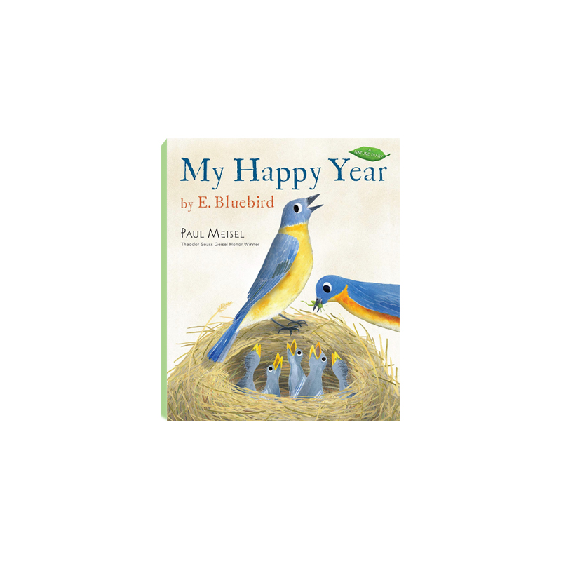 My Happy Year by E. Bluebird