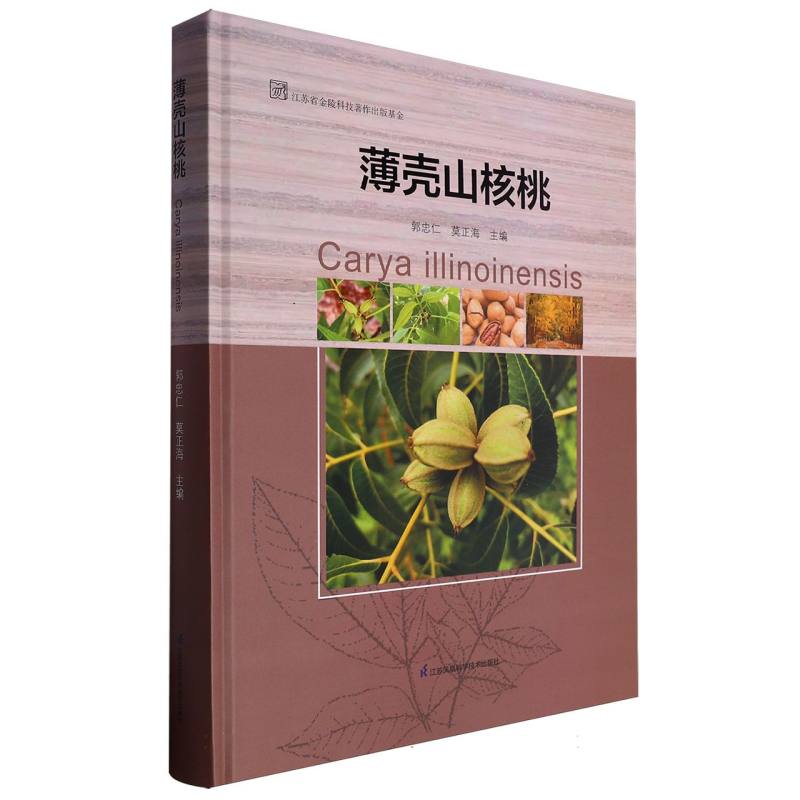 薄壳山核桃
