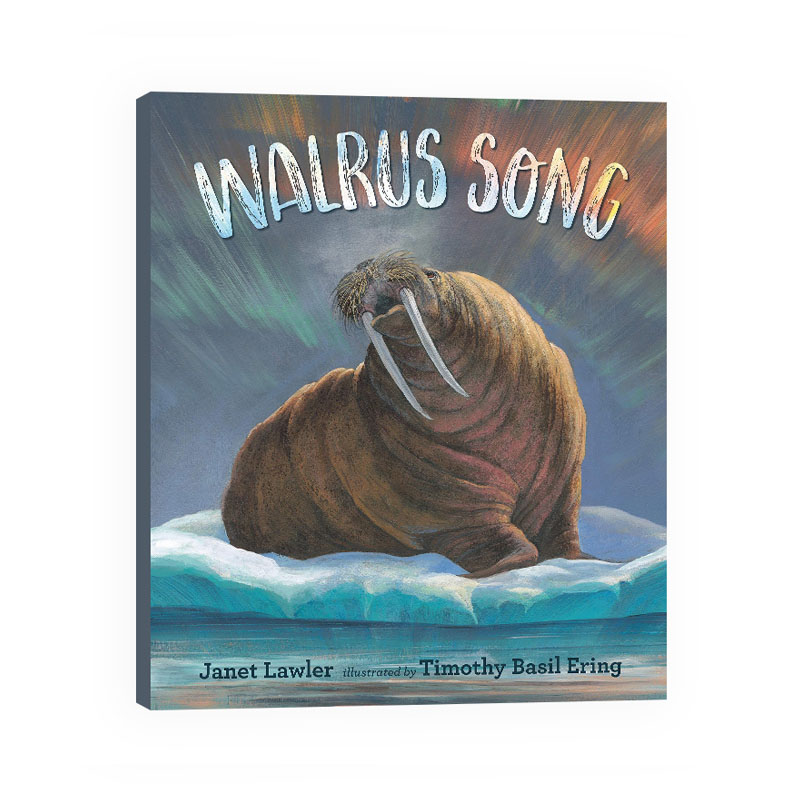 Walrus Song