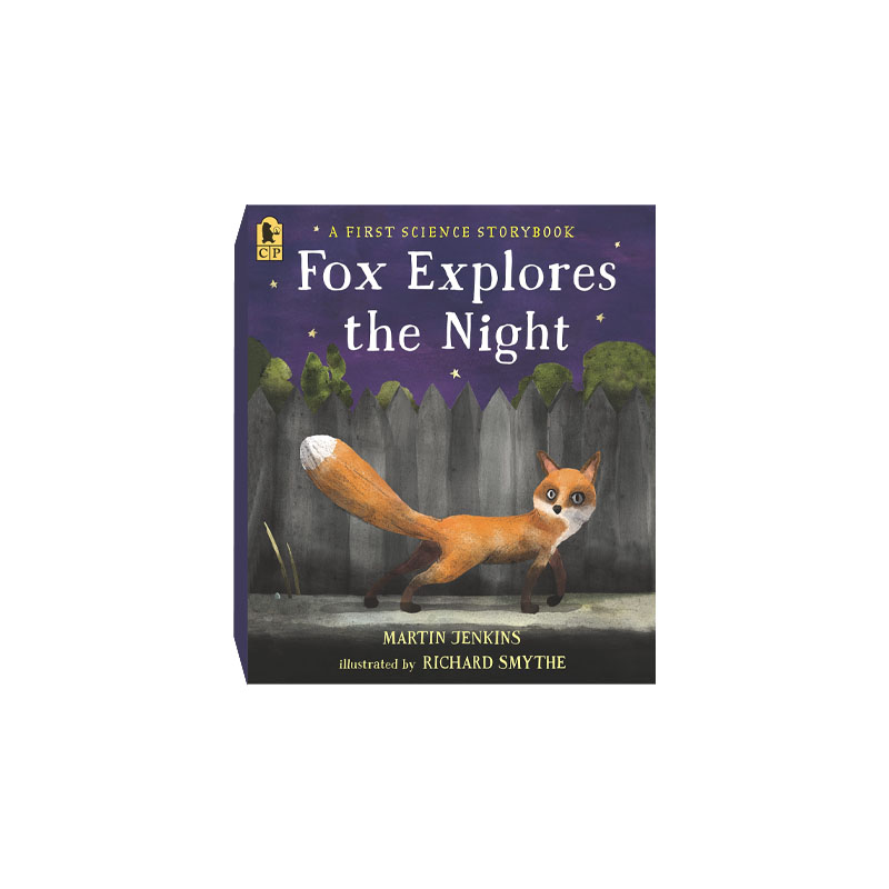 Fox Explores The Night