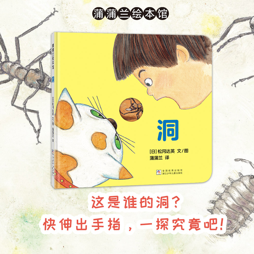 洞