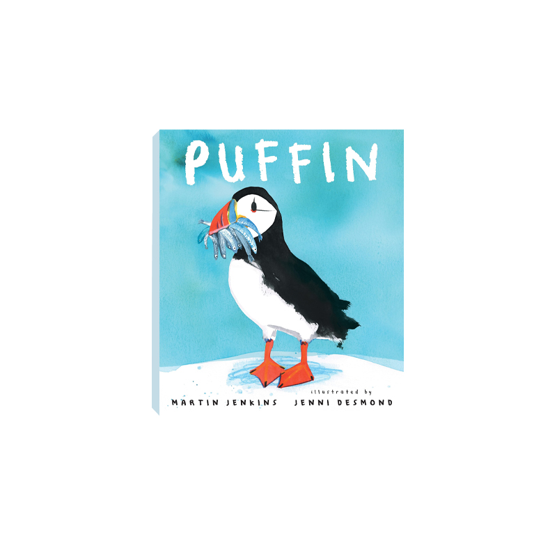 Puffin