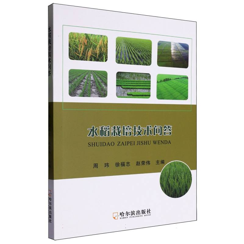 水稻栽培技术问答