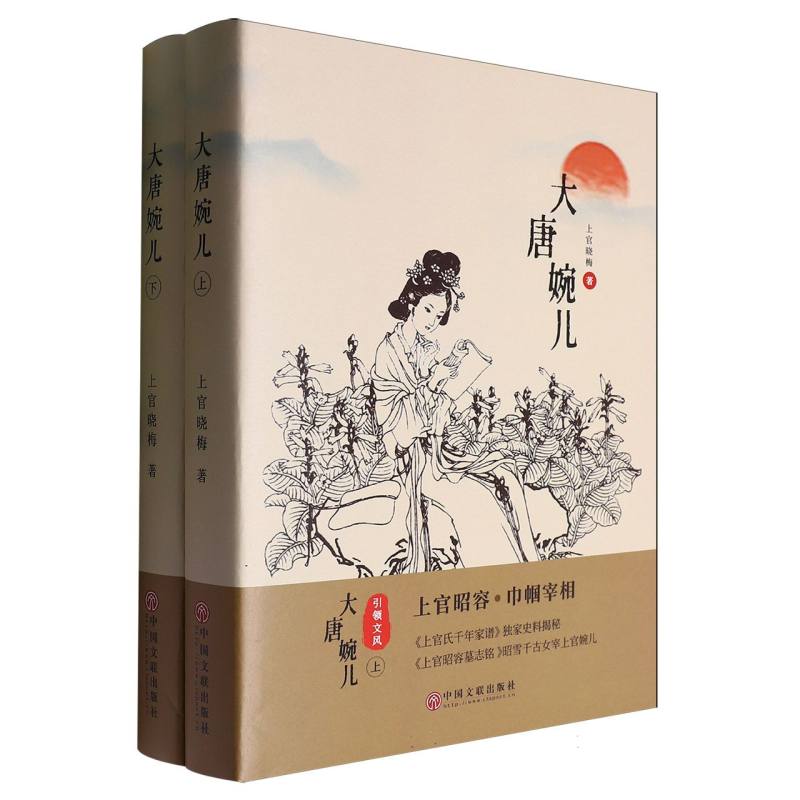 大唐婉儿(上下册)
