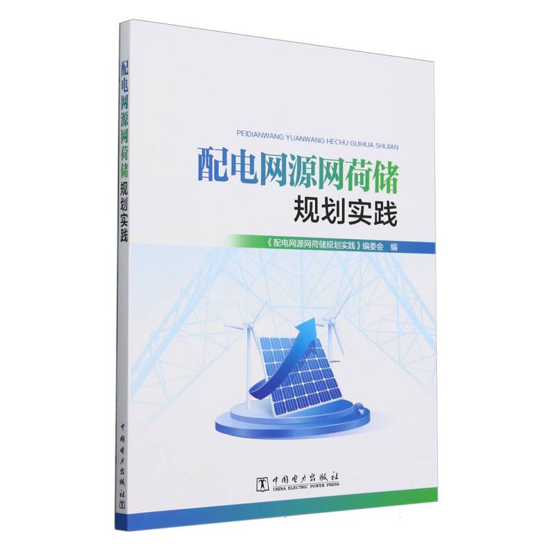 配电网源网荷储规划实践