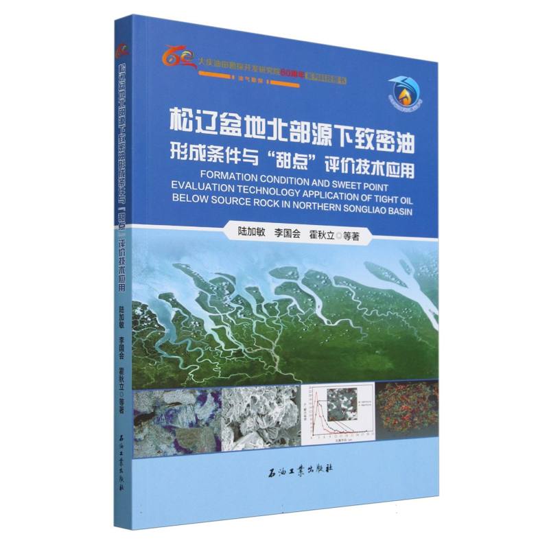 松辽盆地北部源下致密油形成条件与甜点评价技术应用