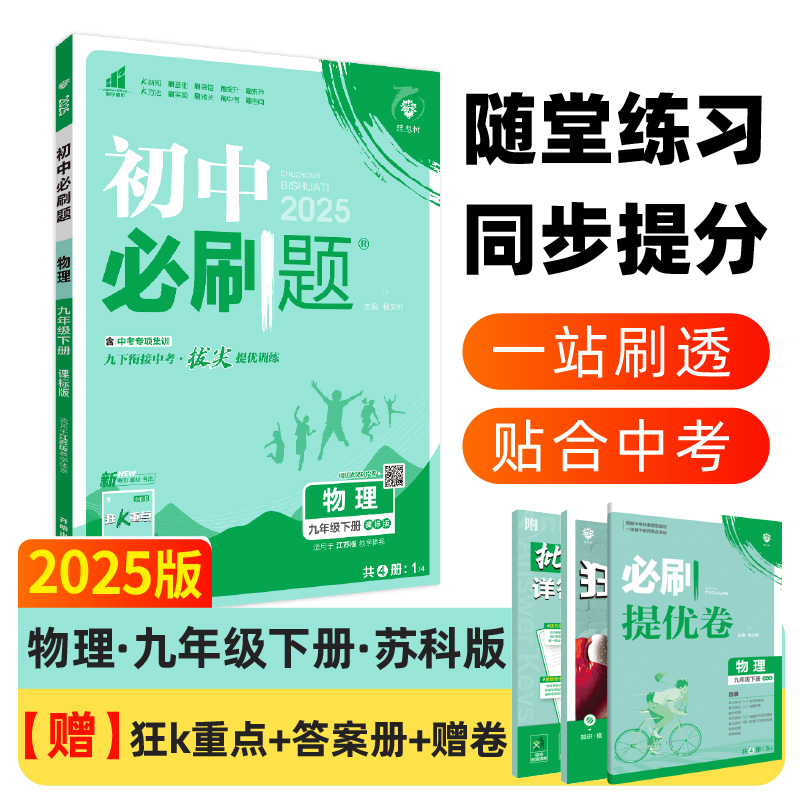 2025春初中必刷题 物理九年级下册 SK