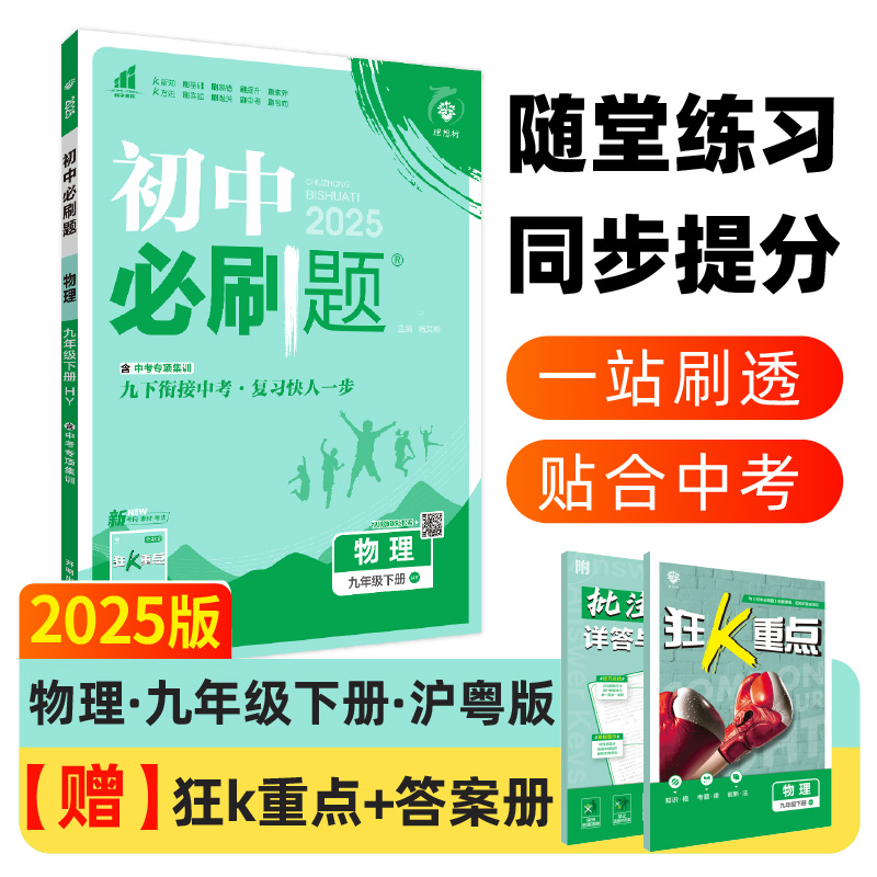 2025春初中必刷题 物理九年级下册 HY