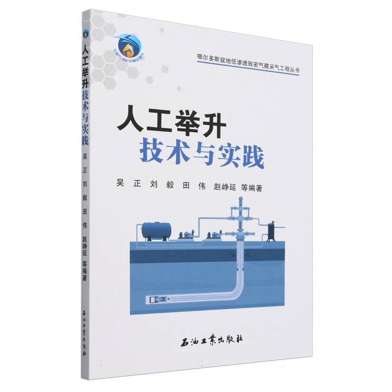 人工举升技术与实践/鄂尔多斯盆地低渗透致密气藏采气工程丛书