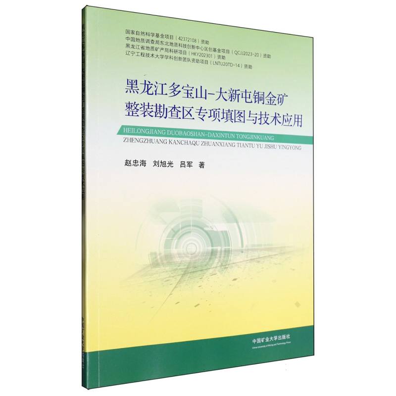 黑龙江多宝山-大新屯铜金矿整装勘查区专项填图与技术应用