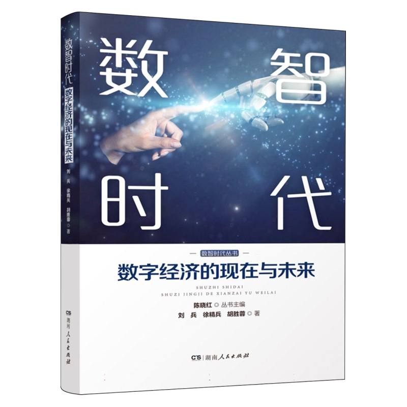 数智时代:数字经济的现在与未来