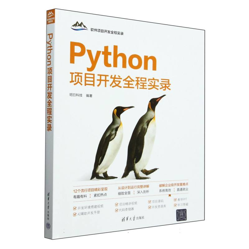 Python项目开发全程实录