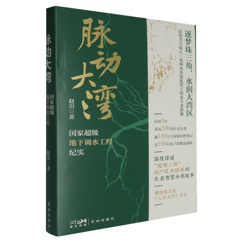 脉动大湾