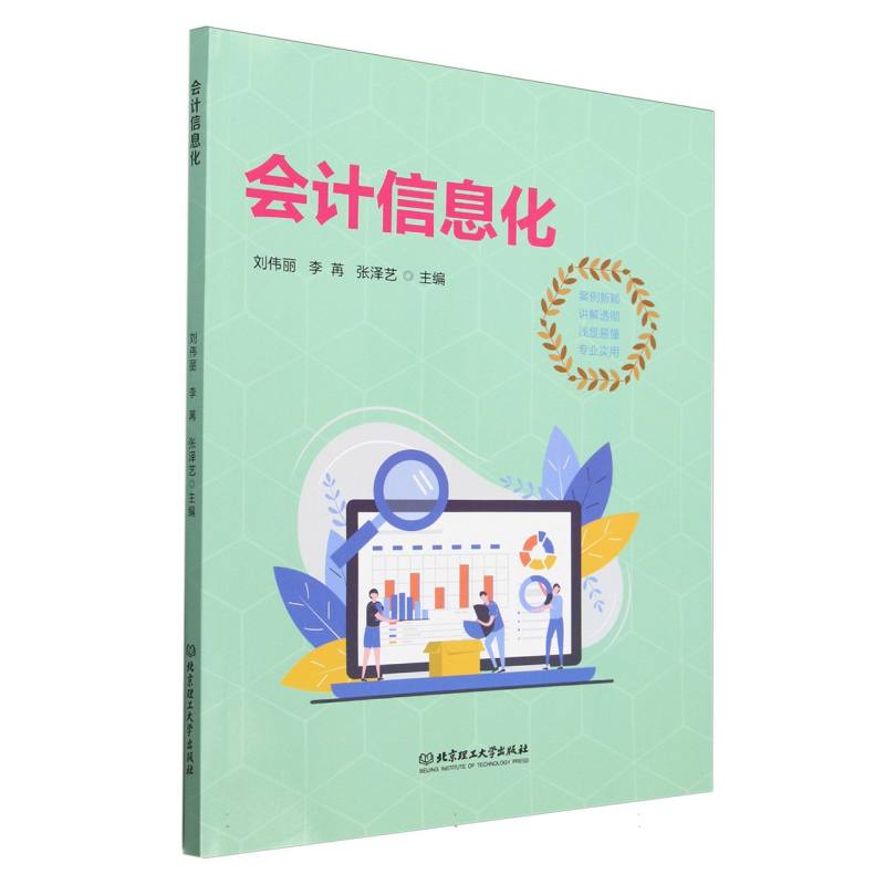 会计信息化