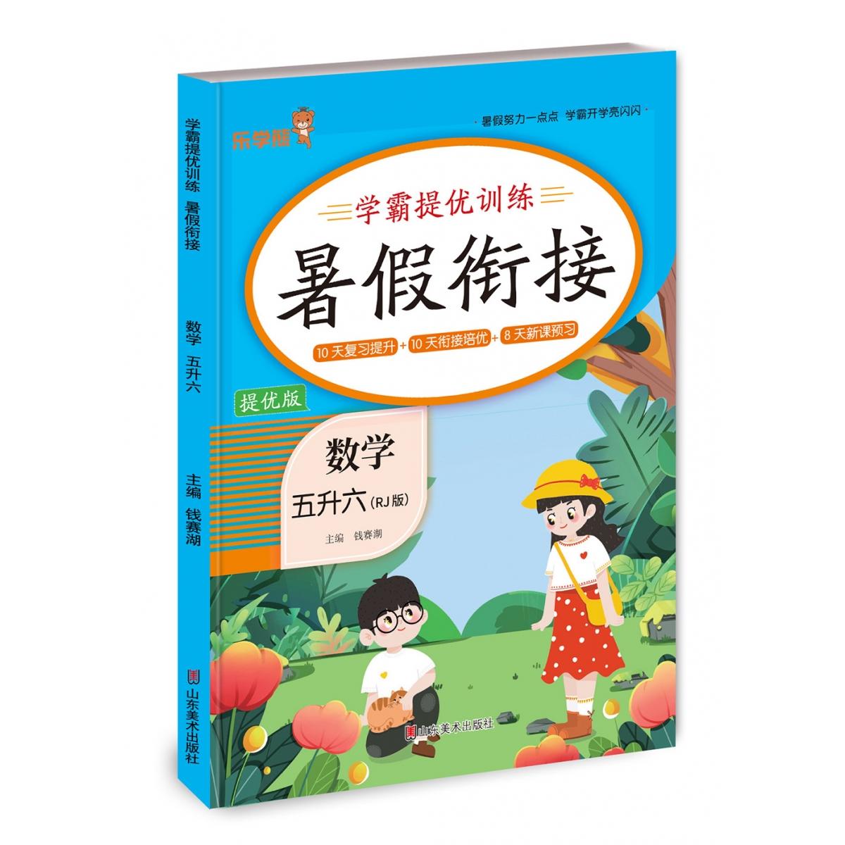 学霸提优训练暑假衔接数学五升六（RJ版）