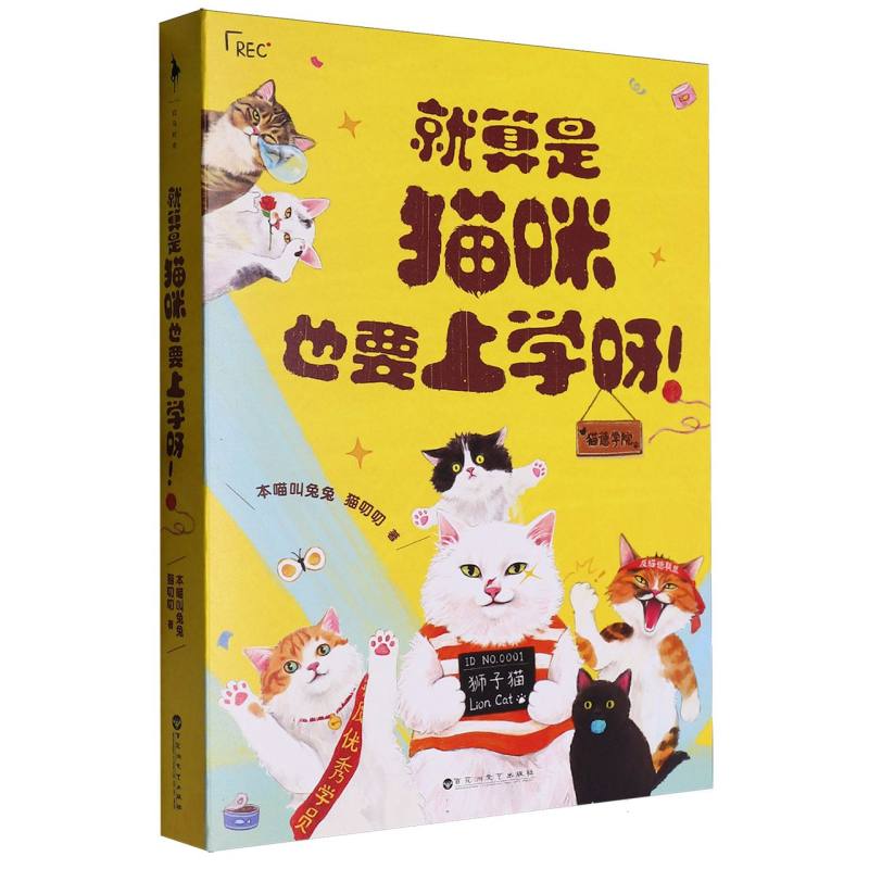 就算是猫咪也要上学呀！