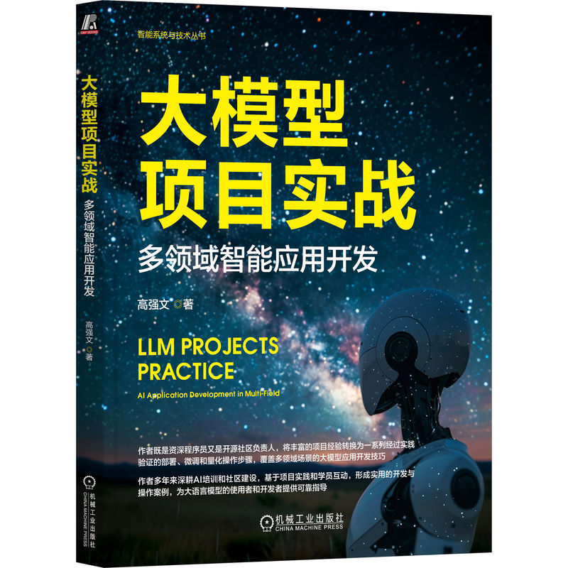 大模型项目实战:多领域智能应用开发