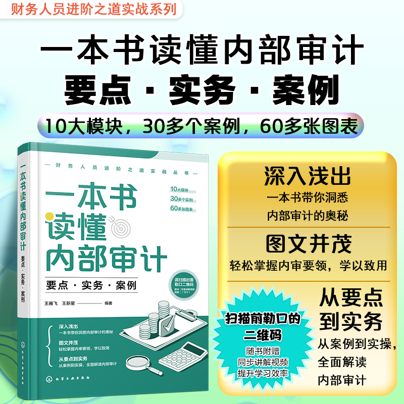 财务人员进阶之道实战丛书--一本书读懂内部审计：要点·实务·案例