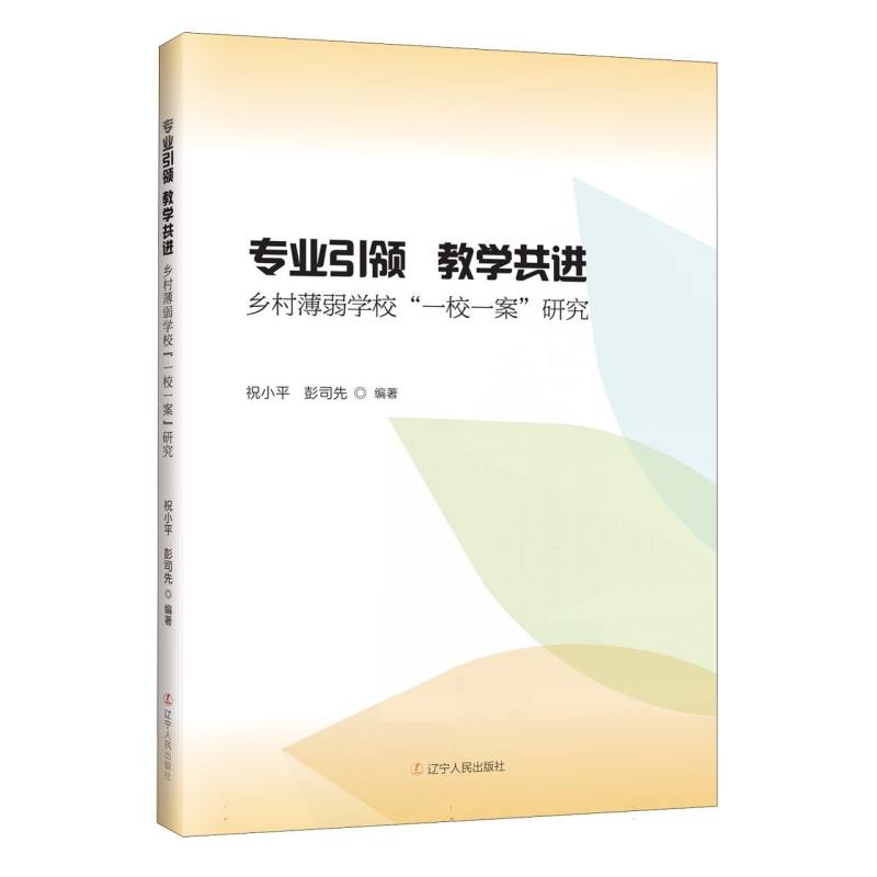 专业引领 教学共进：乡村薄弱学校“一校一案”研究