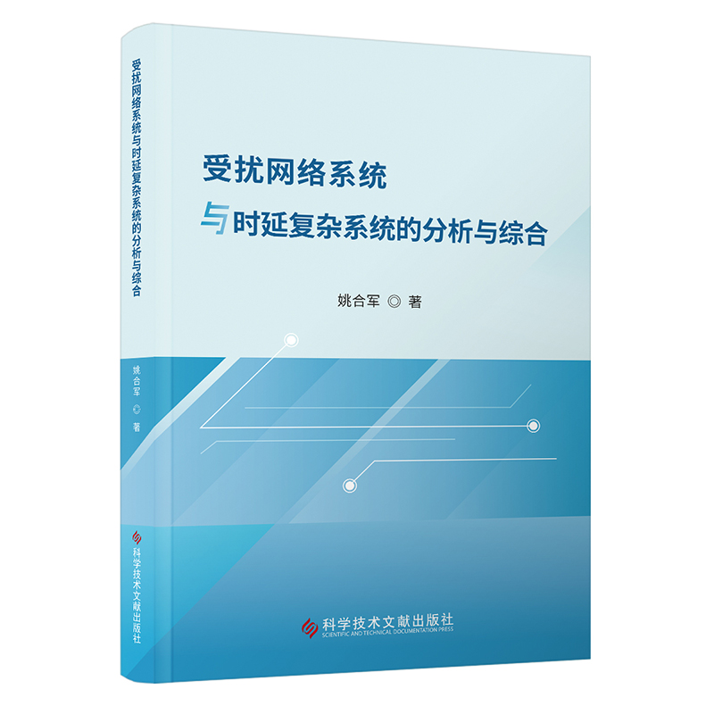 受扰网络系统与时延复杂系统的分析与综合