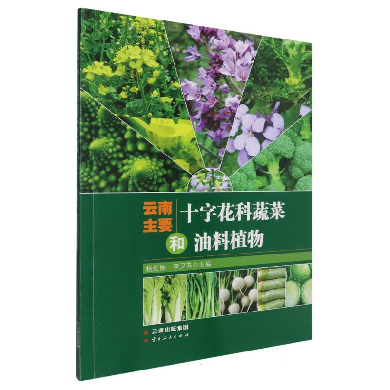 云南主要十字花科蔬菜和油料植物