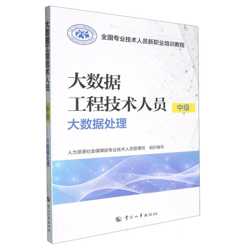 全国专业技术人员新职业培训教程-大数据工程技术人员（中级）:大数据处理