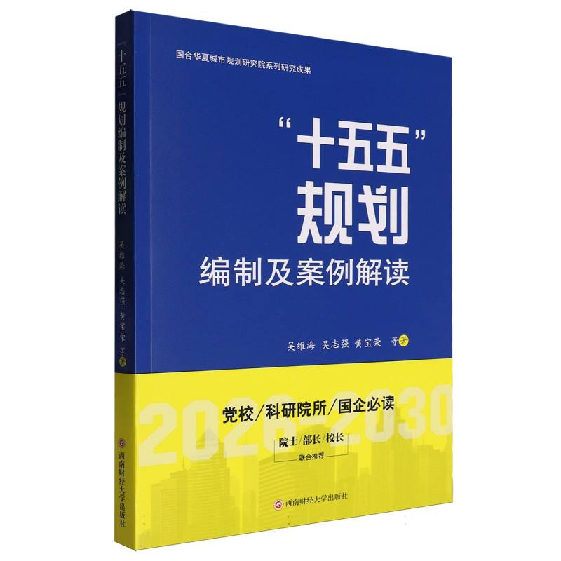 “十五五”规划编制及案例解读