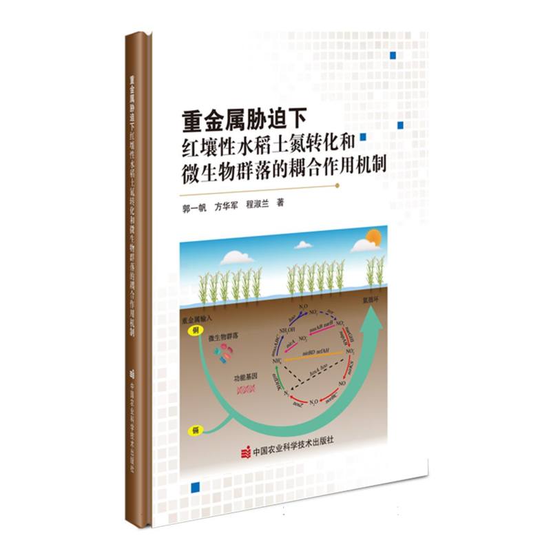 重金属胁迫下红壤性水稻土氮转化和微生物群落的耦合作用机制