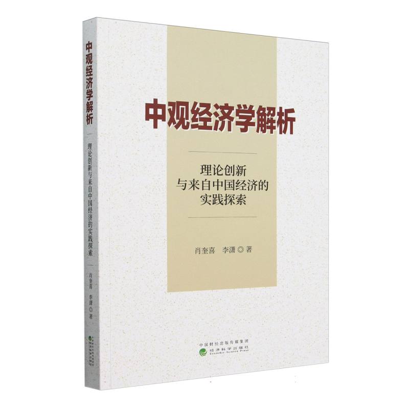 中观经济学解析：理论创新与来自中国经济的实践探索