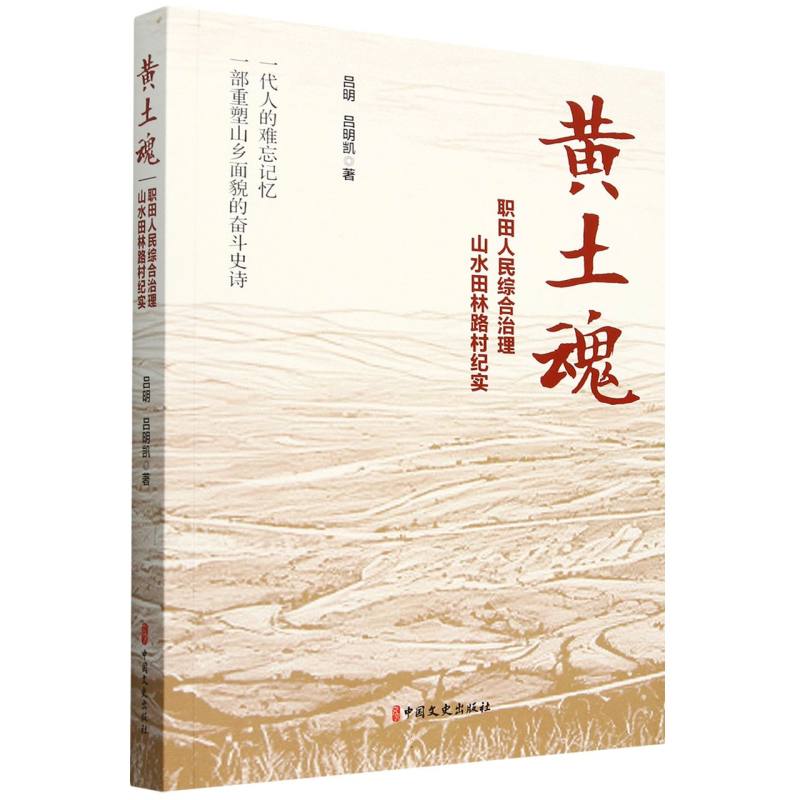 黄土魂(职田人民综合治理山水田林路村纪实)