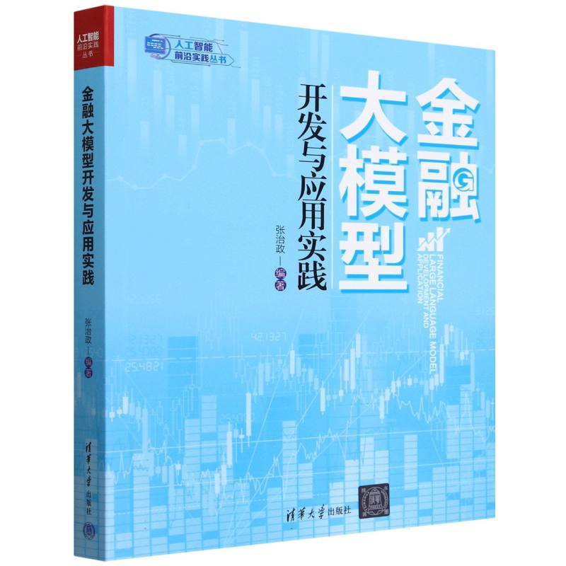 金融大模型开发与应用实践/人工智能前沿实践丛书