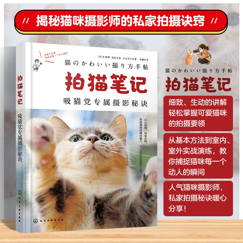 拍猫笔记：吸猫党专属摄影秘诀