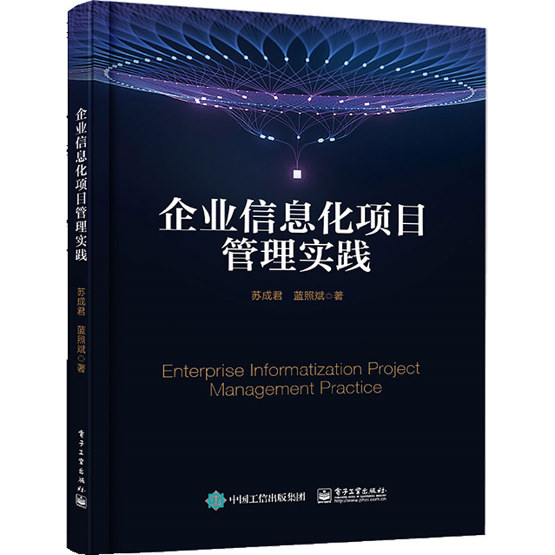 企业信息化项目管理实践