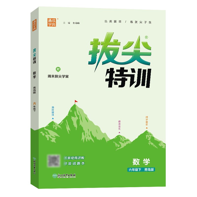 25春小学拔尖特训 数学6年级下·青岛