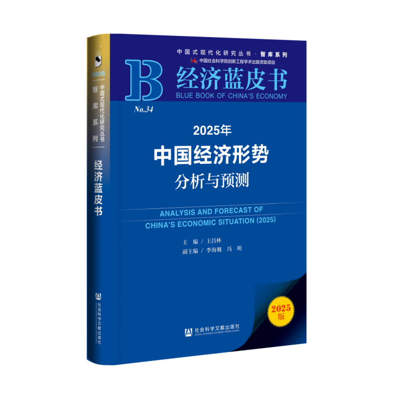 2025年中国经济形势分析与预测...