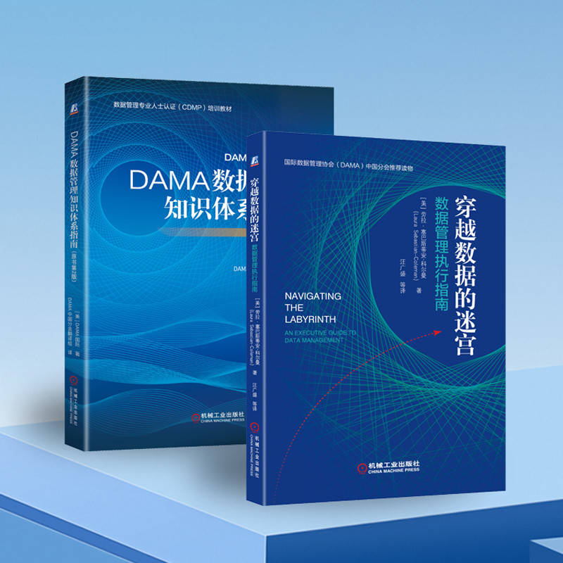 DAMA数据管理知识体系指南+穿越数据的迷宫(套装共2册)