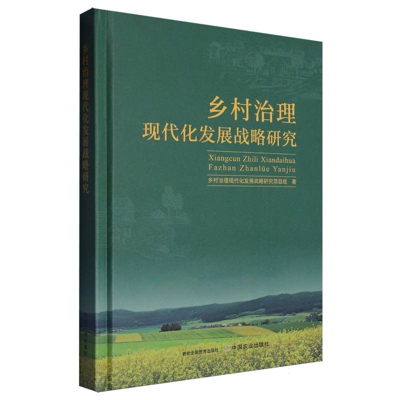 乡村治理现代化发展战略研究