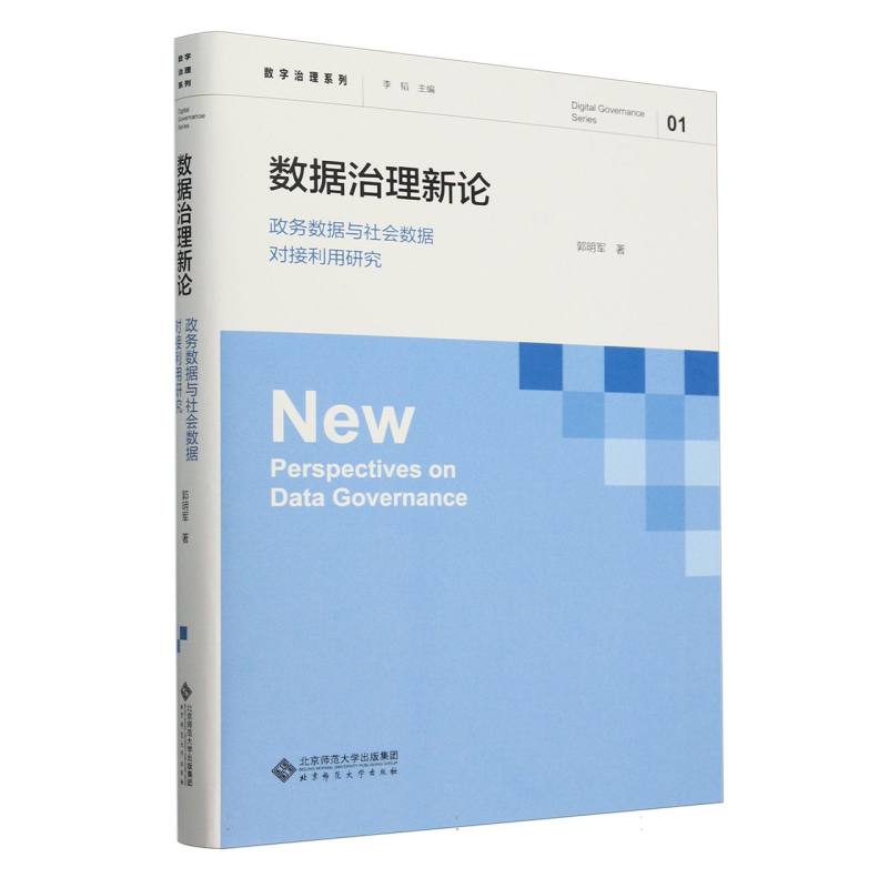 数据治理新论（政务数据与社会数据对接利用研究）（精）/数字治理系列