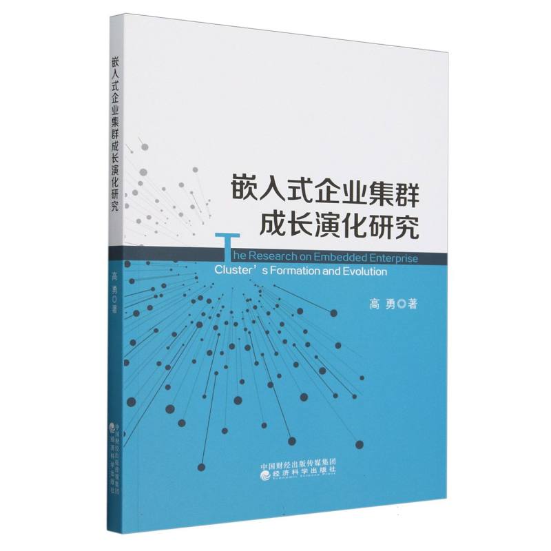 嵌入式企业集群成长演化研究