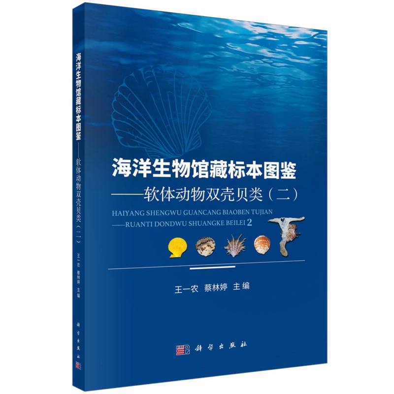 海洋生物馆藏标本图鉴--软体动物双壳贝类（2）