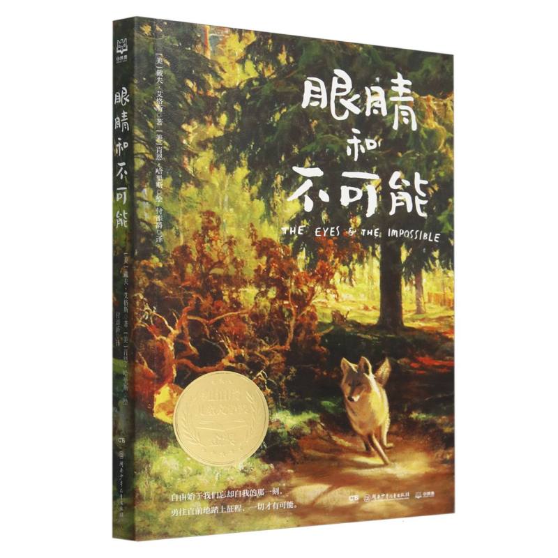 眼睛和不可能