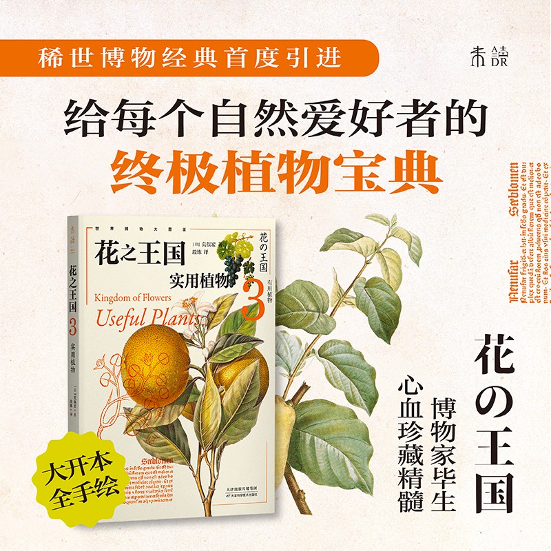 花之王国3：实用植物
