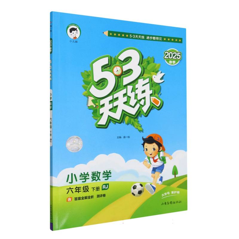 2025版《5.3》天天练六年级下册  数学（人教版RJ）