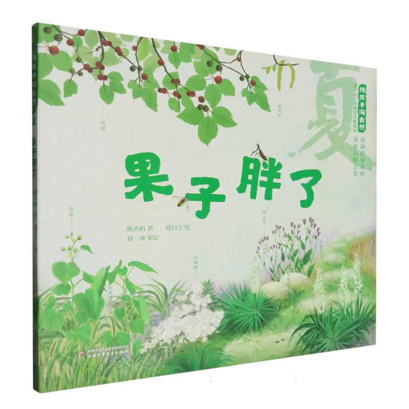 陪孩子淘自然——夏：果子胖了